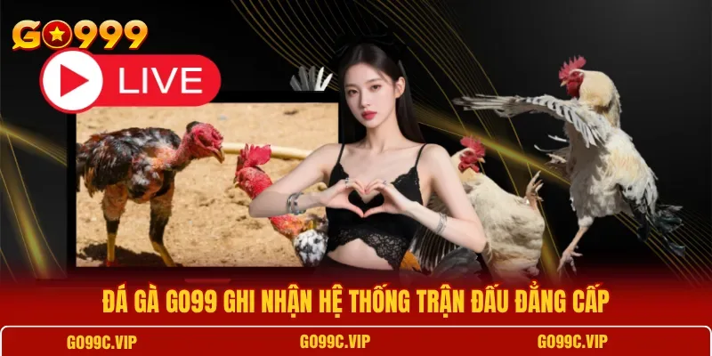 Ba hình thức thi đấu cựa sắt, cựa dao và Thomo tại sảnh đá gà