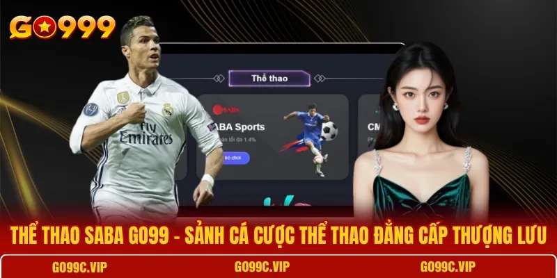 Các bộ môn bóng đá, bóng rổ, bóng chuyền trong sảnh cược thể thao