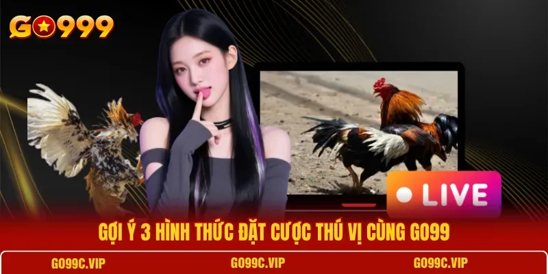 Các bước đăng ký, nạp tiền và chọn trận để bắt đầu xem đá gà