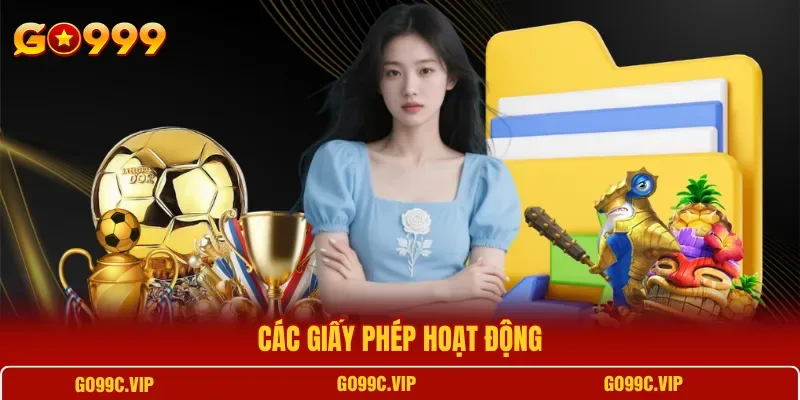 Các giấy phép hoạt động được công bố của hệ thống giải trí