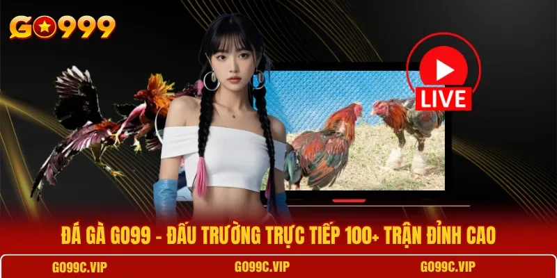 Màn hình đá gà GO99 phát sóng trực tiếp trận đấu chiến kê hình ảnh rõ nét