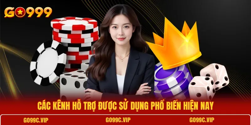 Nhân viên chăm sóc khách hàng hỗ trợ bảo mật và xử lý khiếu nại cho người chơi