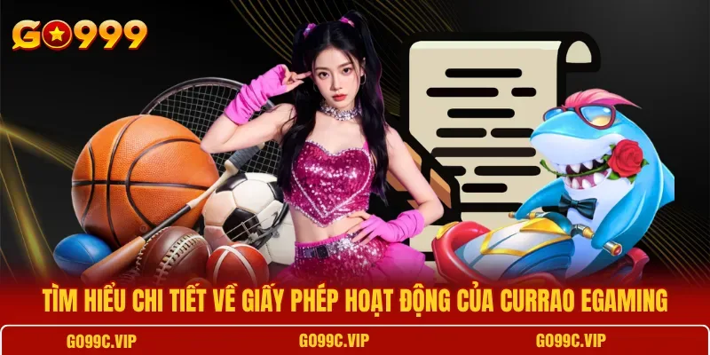 Ý nghĩa của giấy phép đối với quyền lợi và giao dịch của người chơi